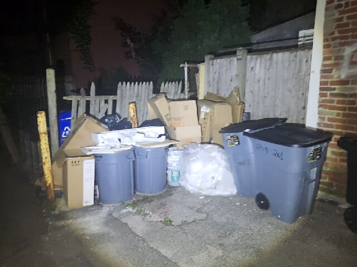 Image submitted with report