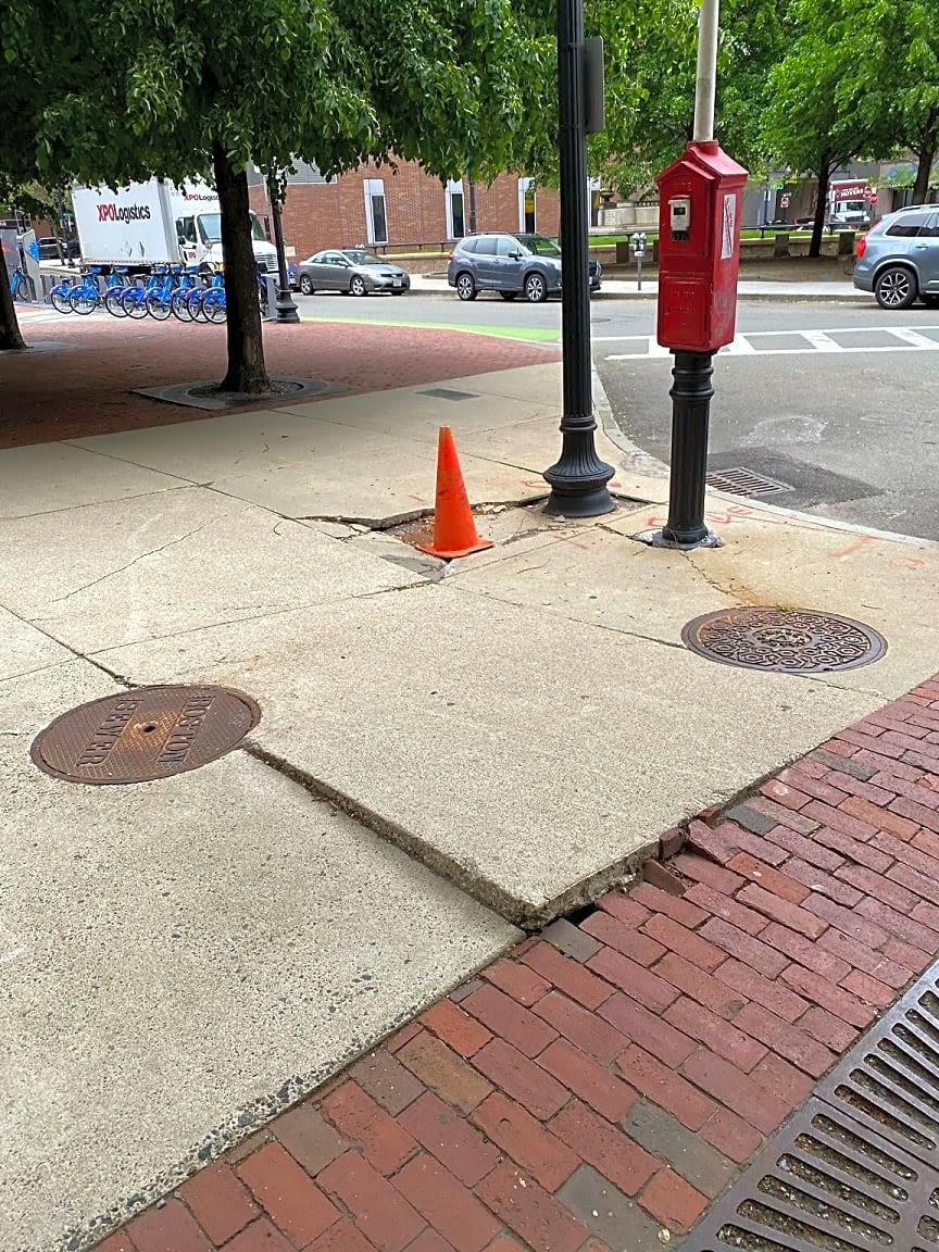 Image submitted with report