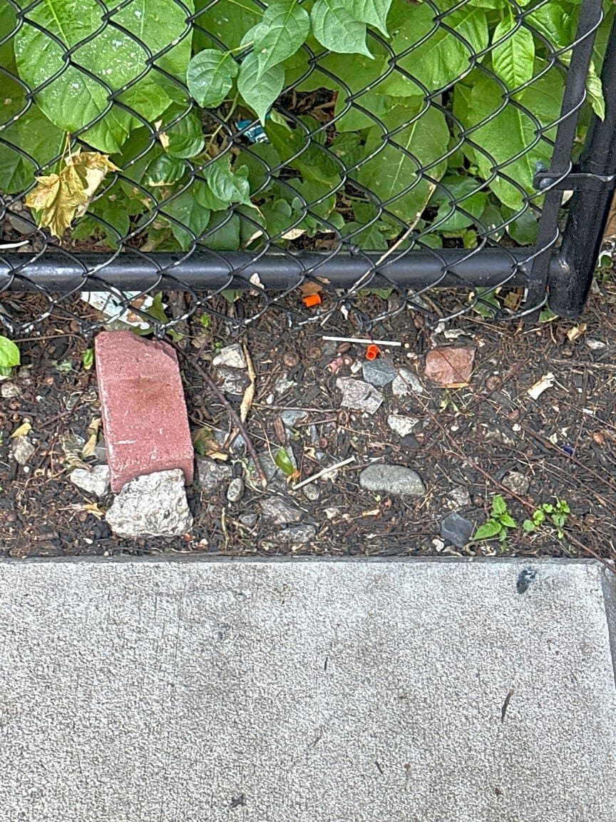 Image submitted with report