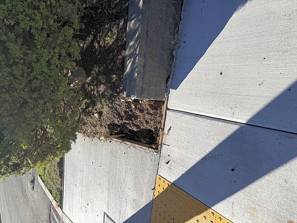 Image submitted with report