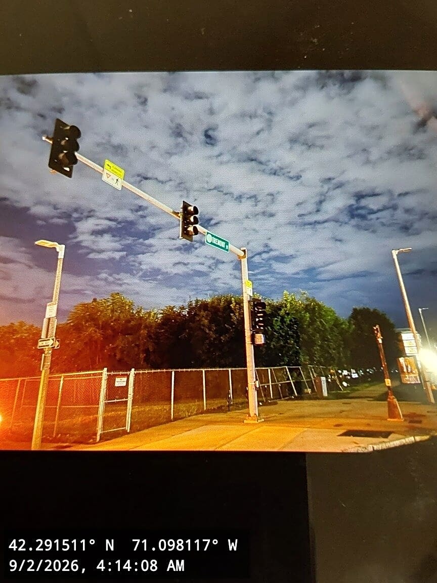 Image submitted with report