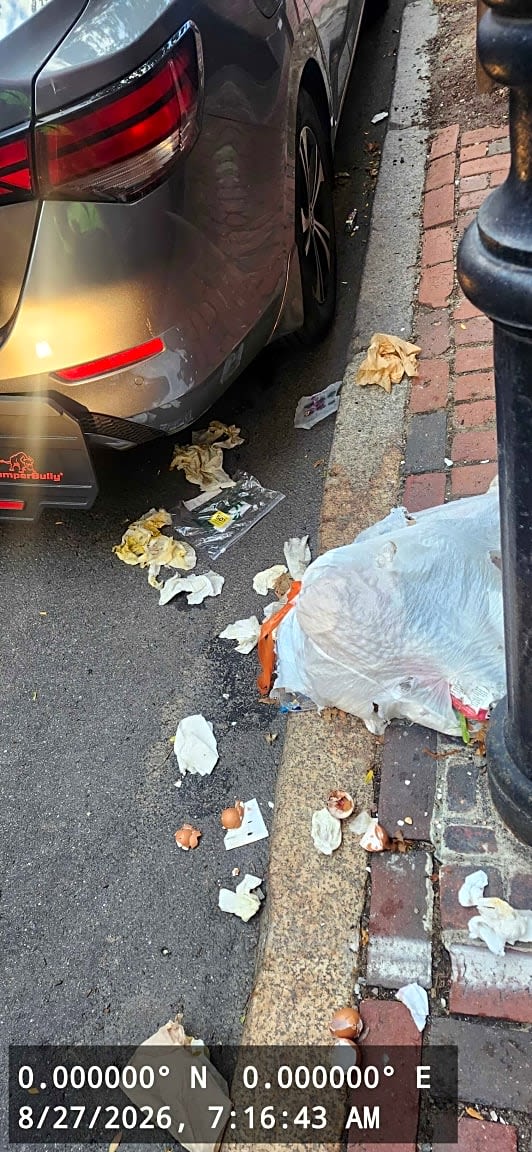 Image submitted with report