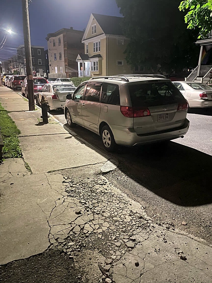 Image submitted with report