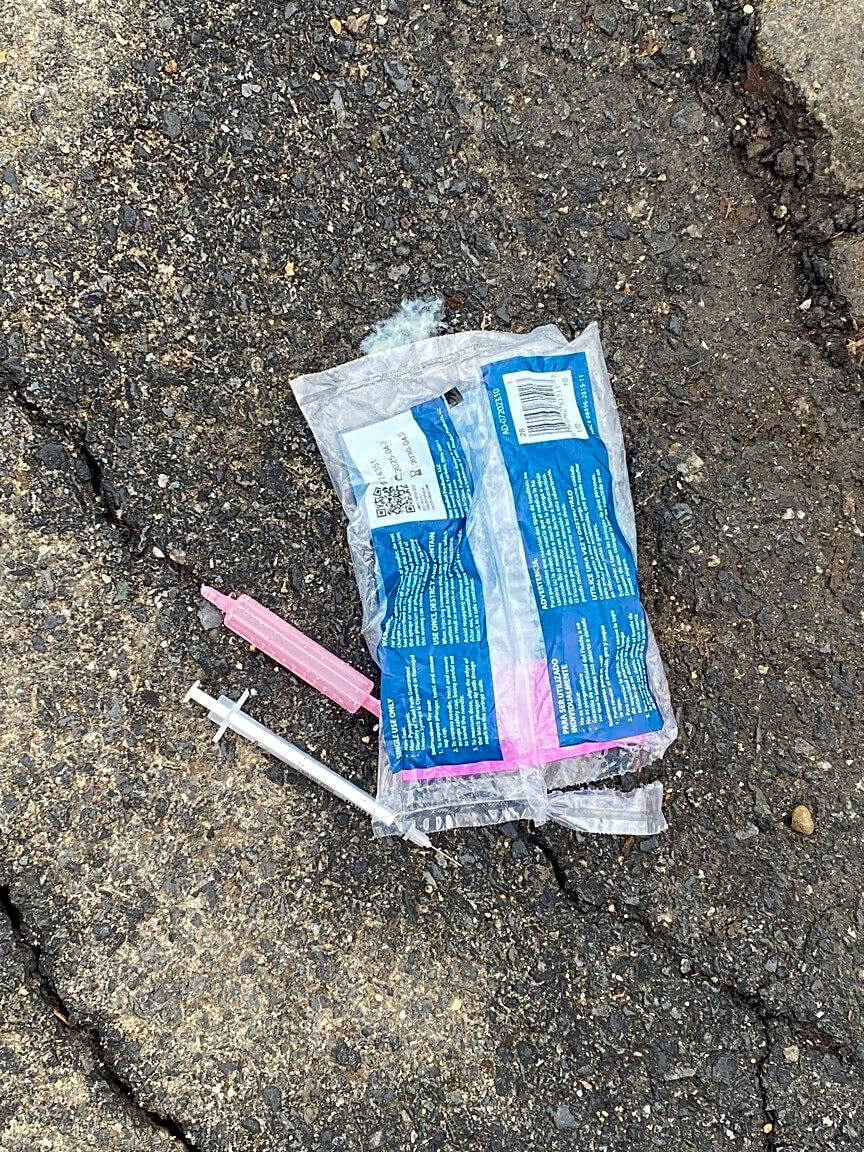 Image submitted with report