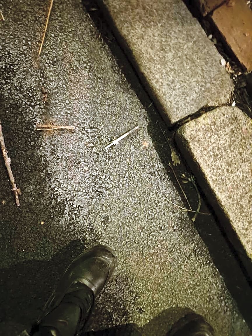 Image submitted with report