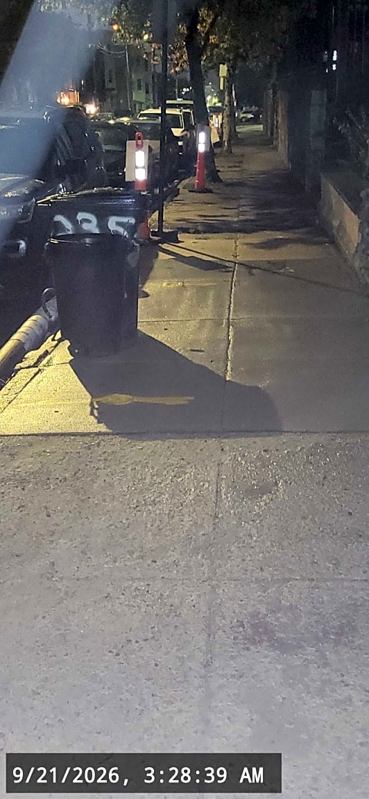 Image submitted with report