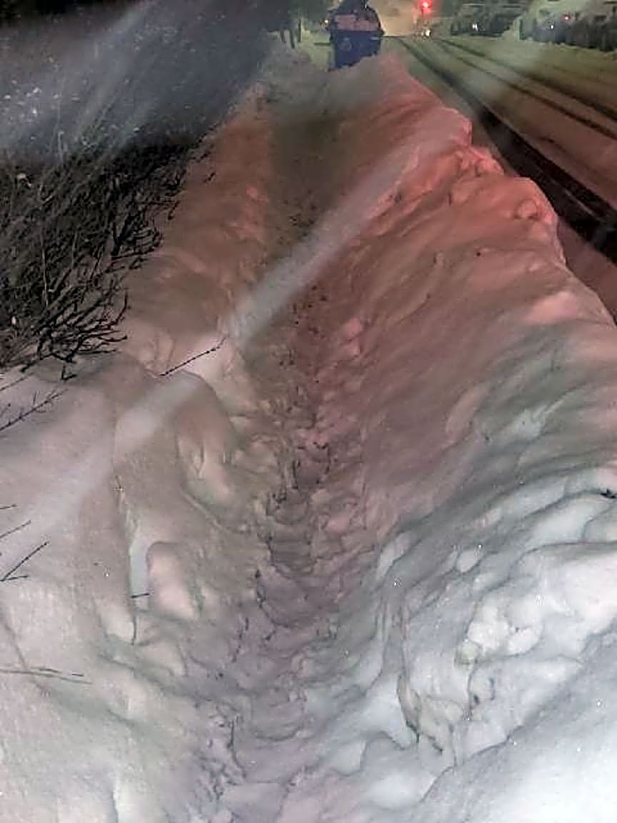 Image submitted with report