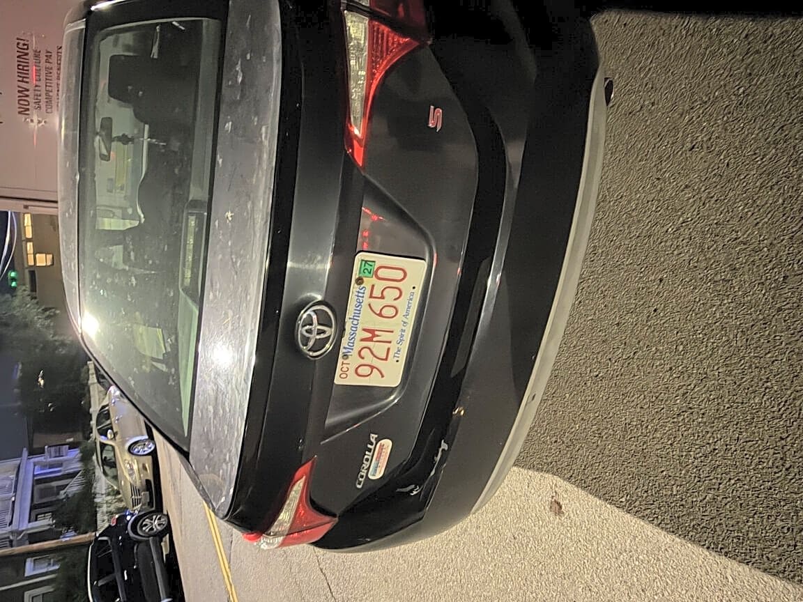 Image submitted with report