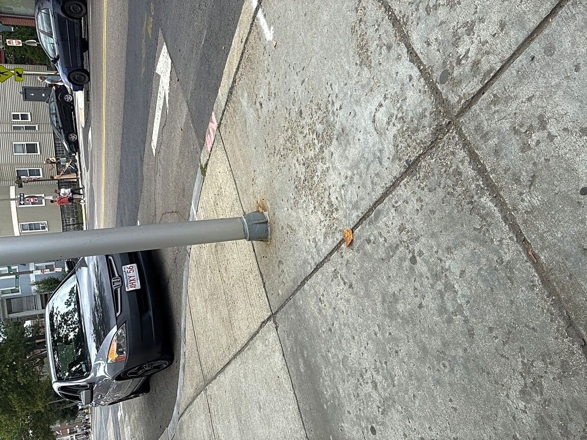 Image submitted with report