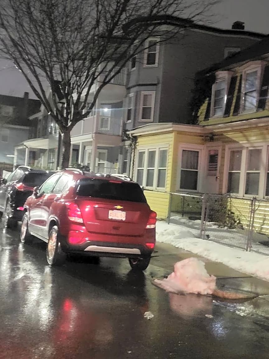 Image submitted with report