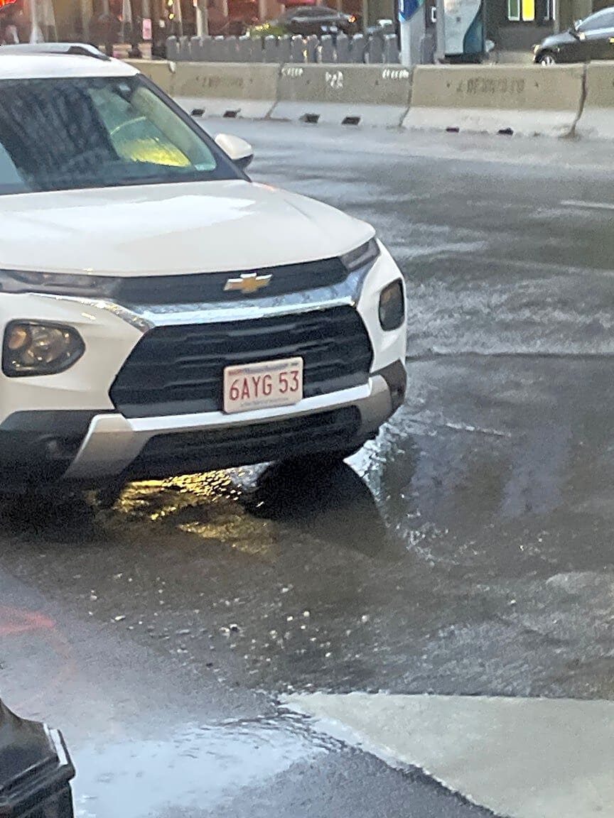 Image submitted with report