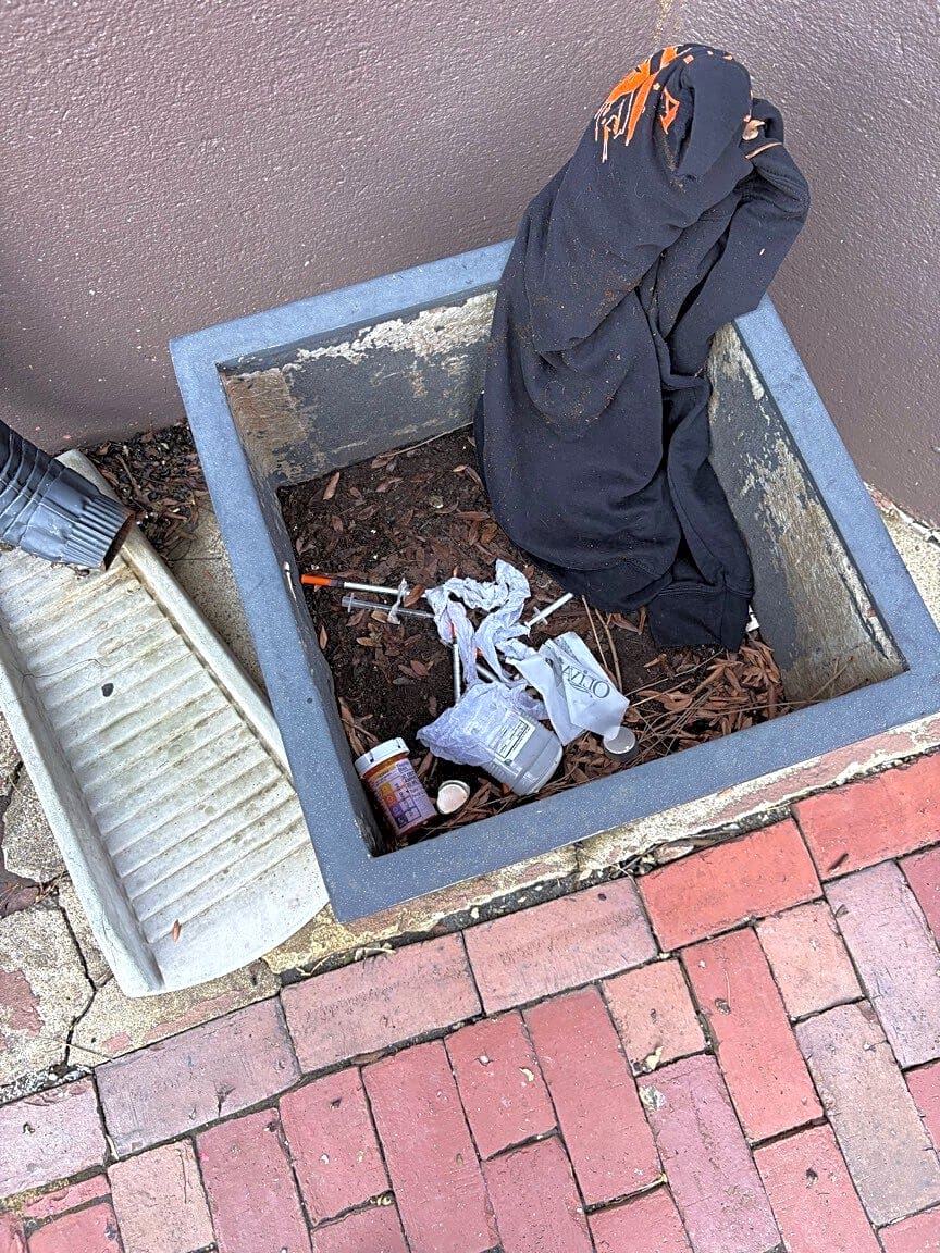 Image submitted with report