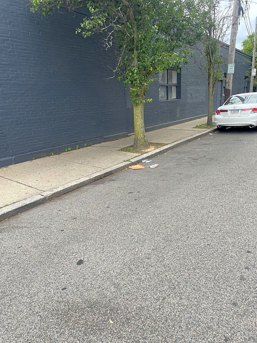 Image submitted with report