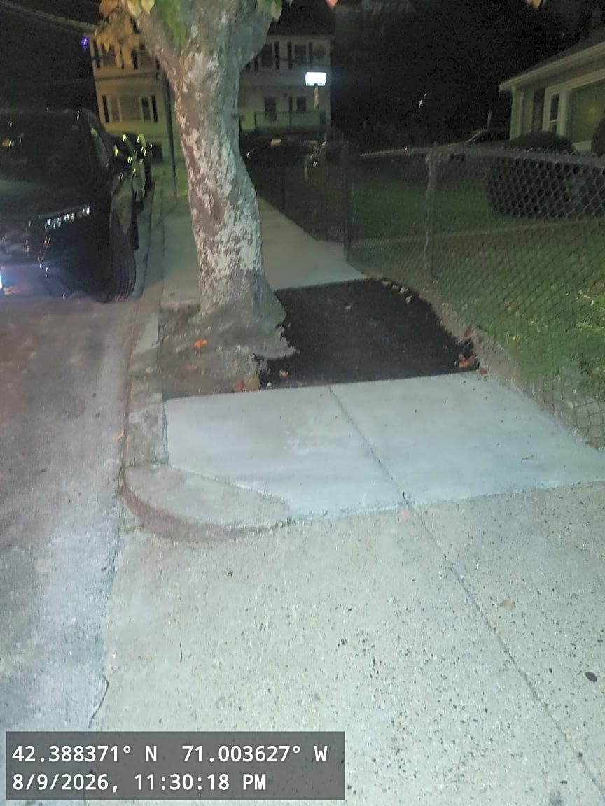 Image submitted with report
