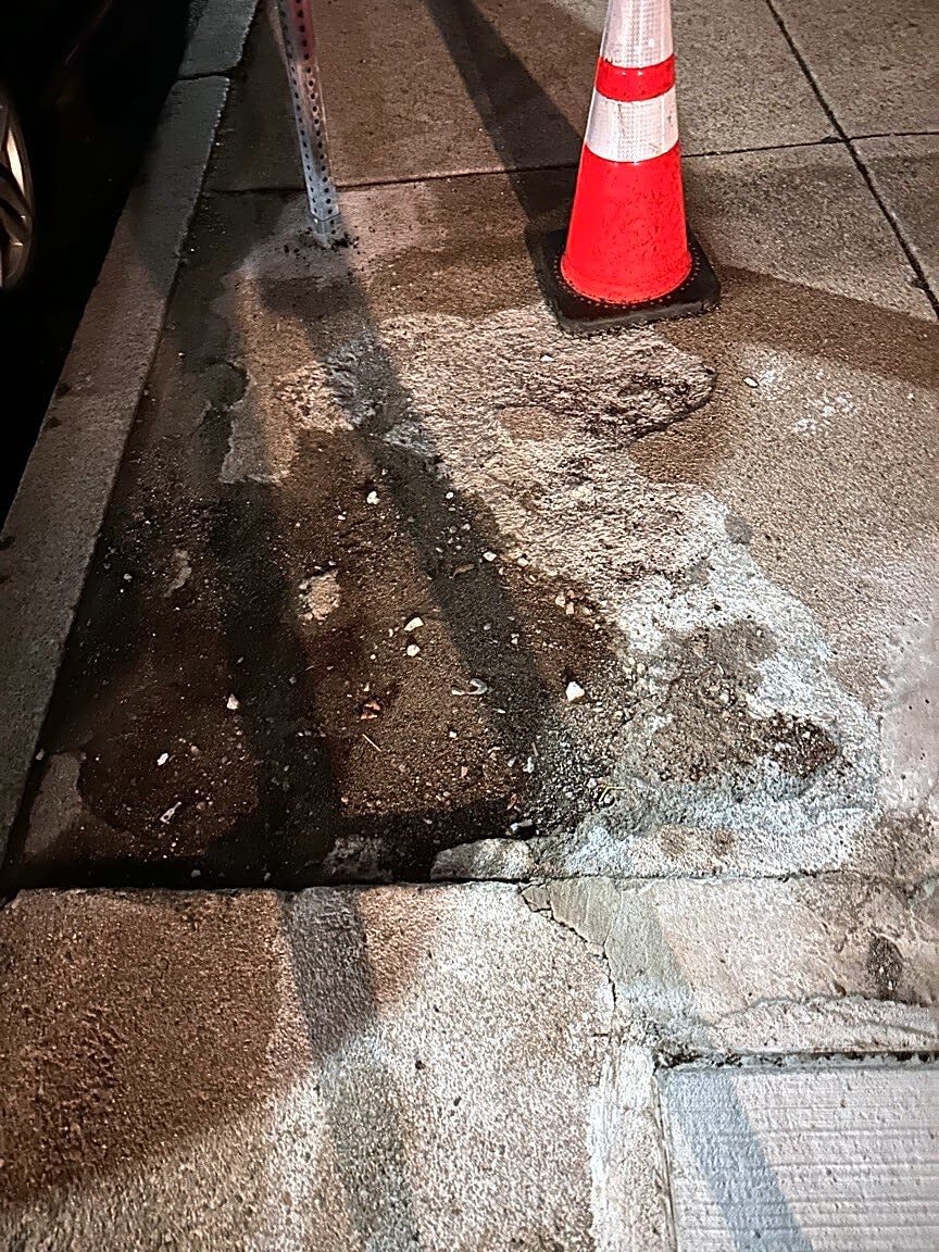 Image submitted with report