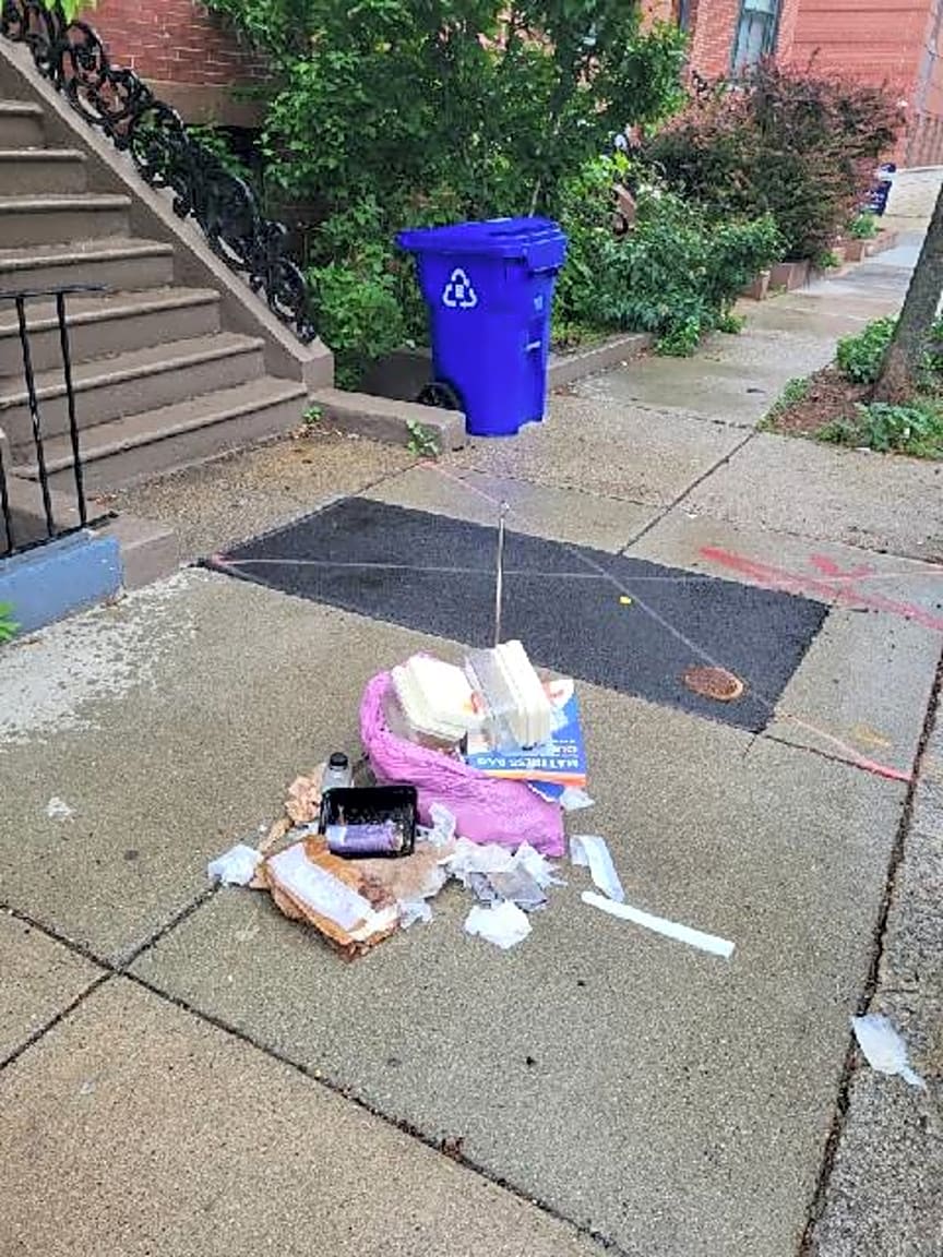 Image submitted with report