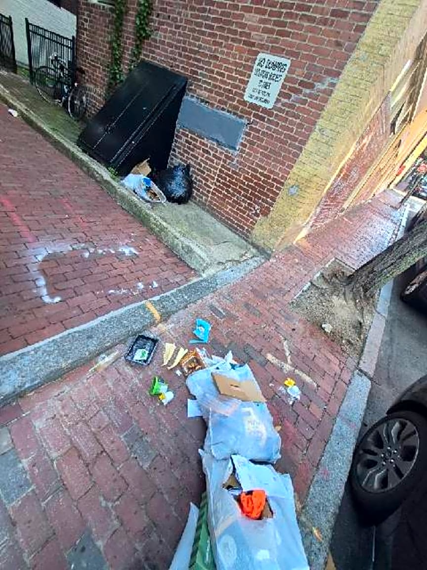 Image submitted with report