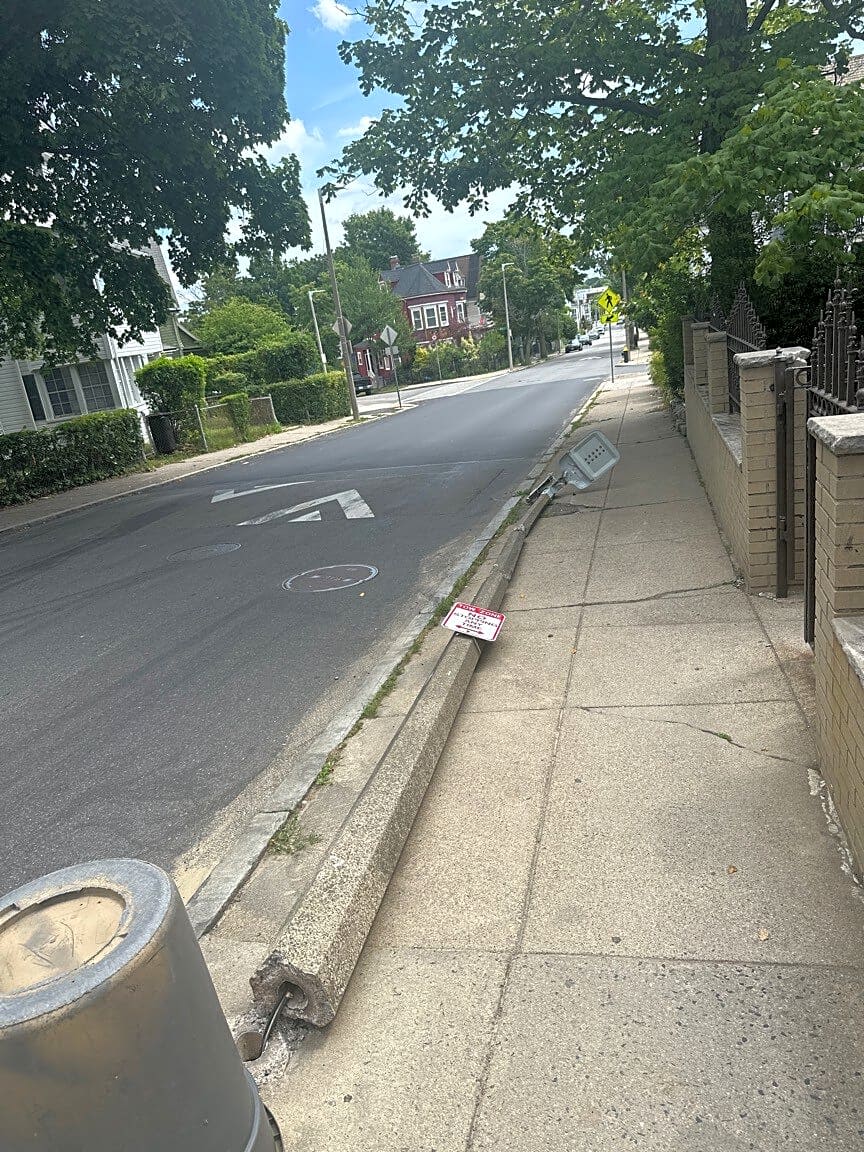 Image submitted with report