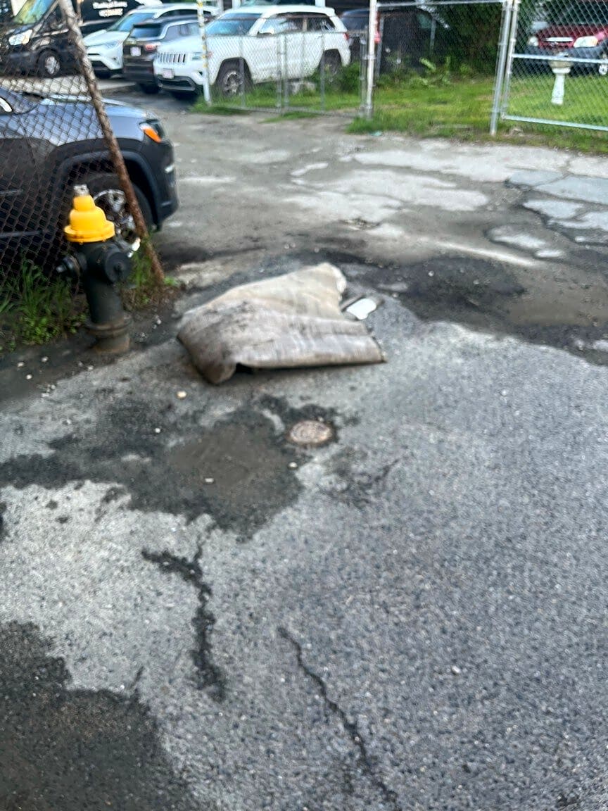 Image submitted with report