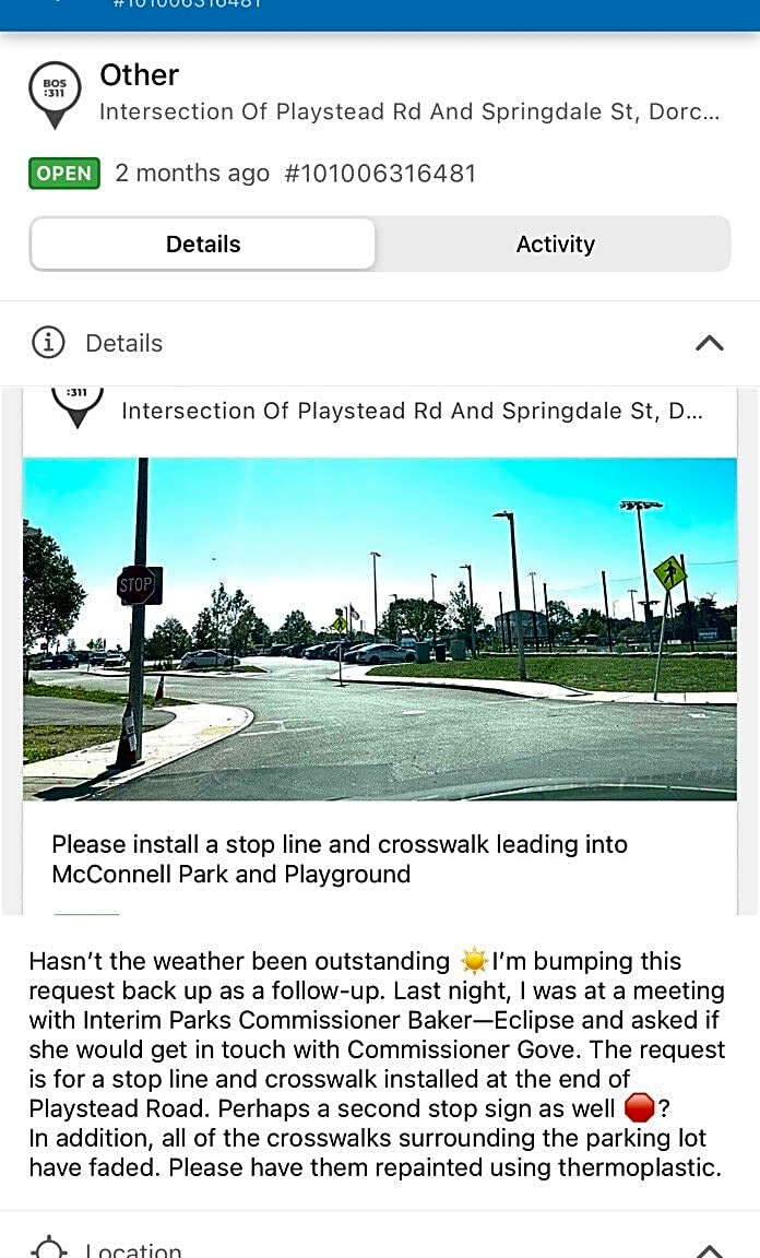 Image submitted with report