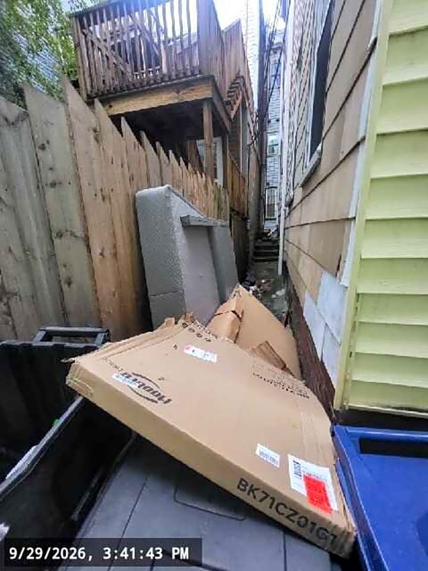 Image submitted with report