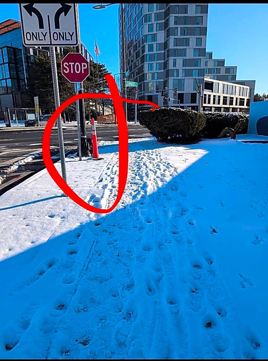 Image submitted with report