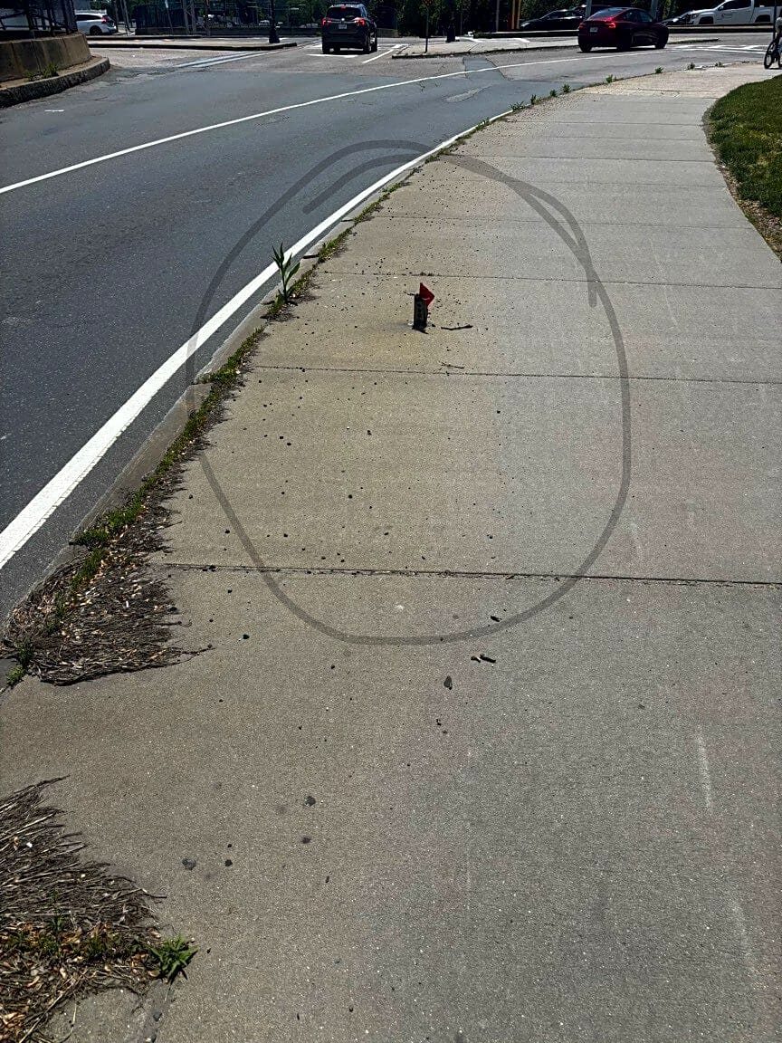 Image submitted with report