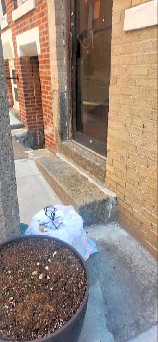 Image submitted with report