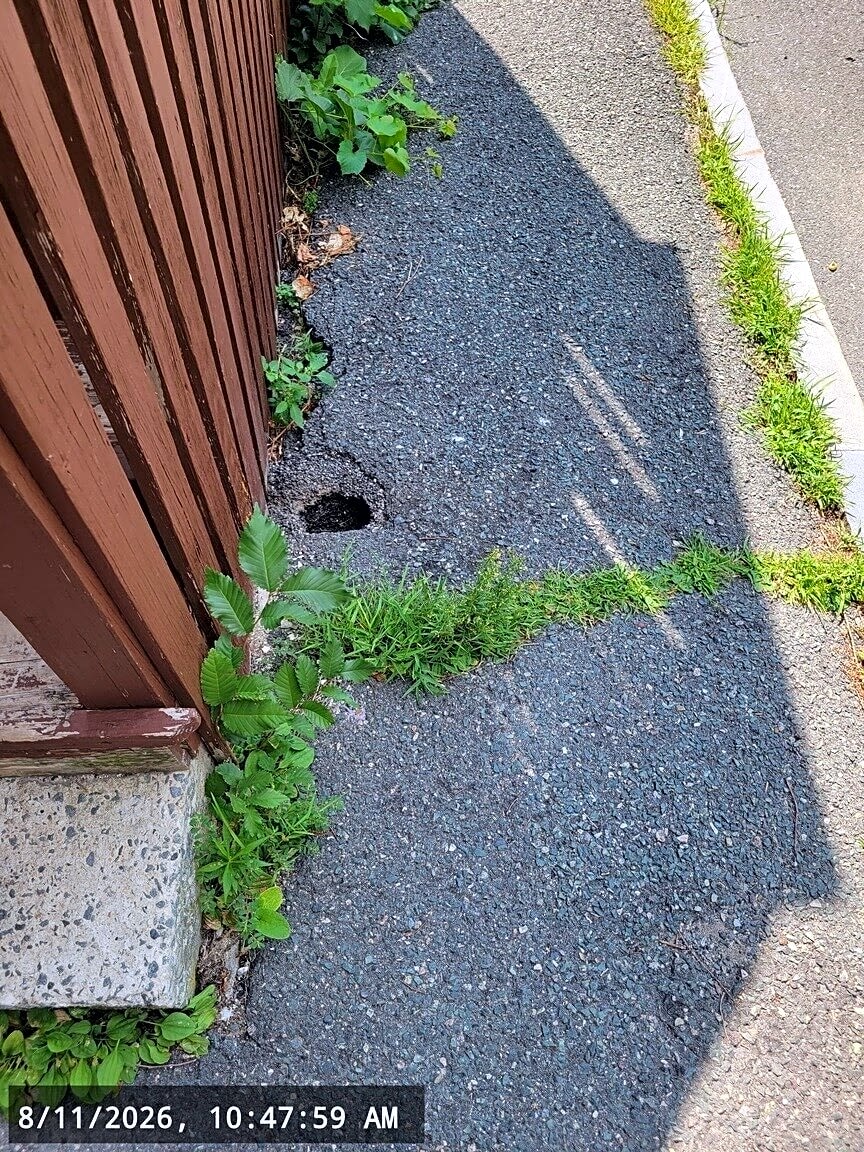 Image submitted with report