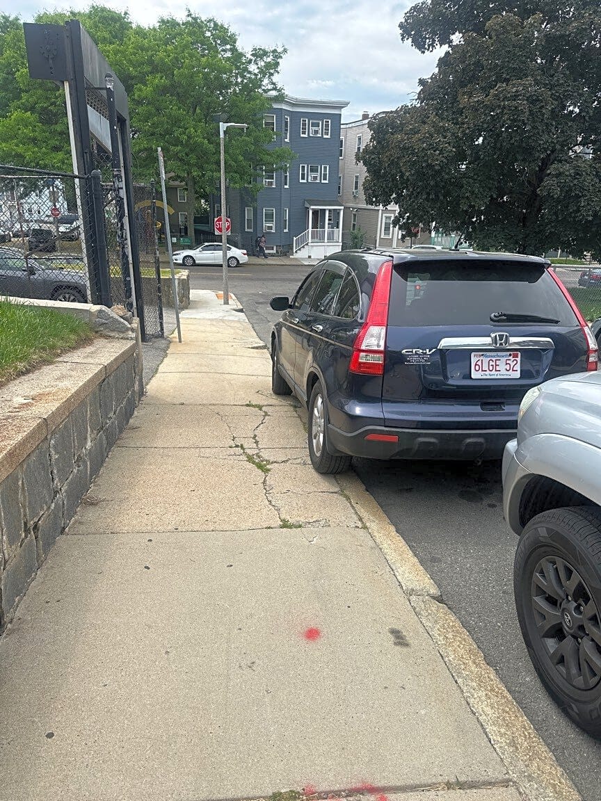 Image submitted with report