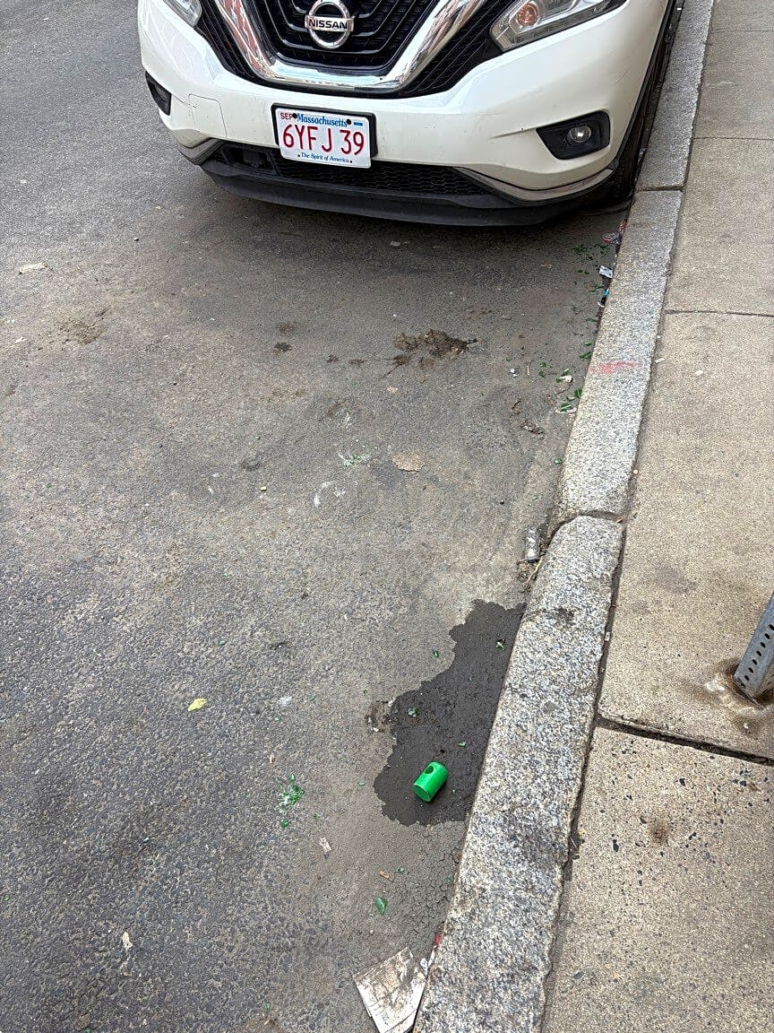 Image submitted with report