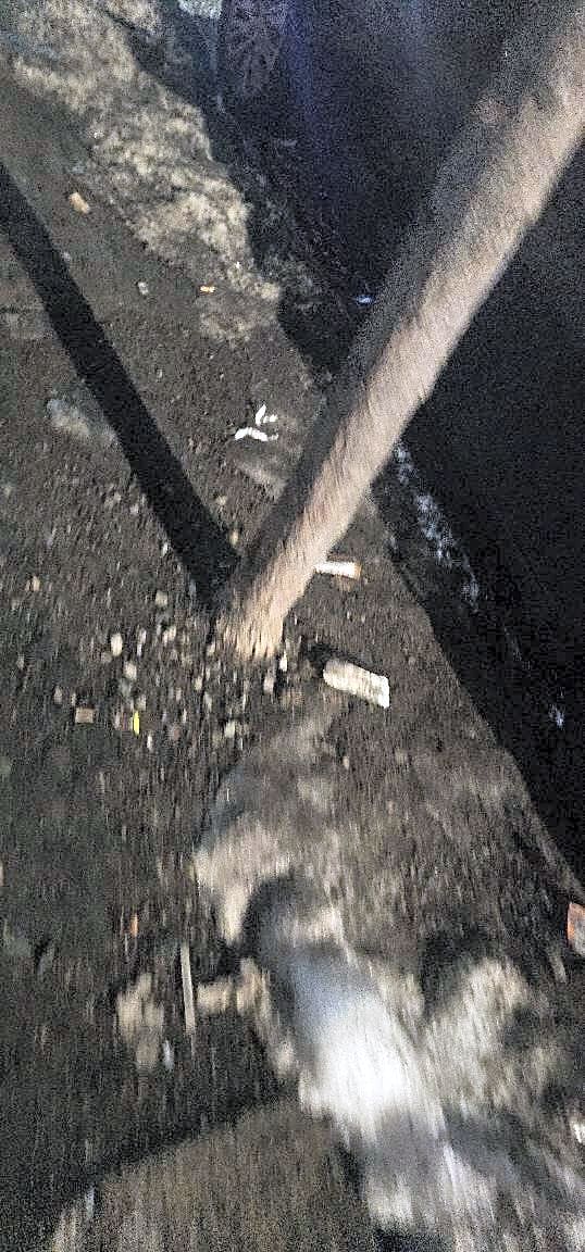 Image submitted with report