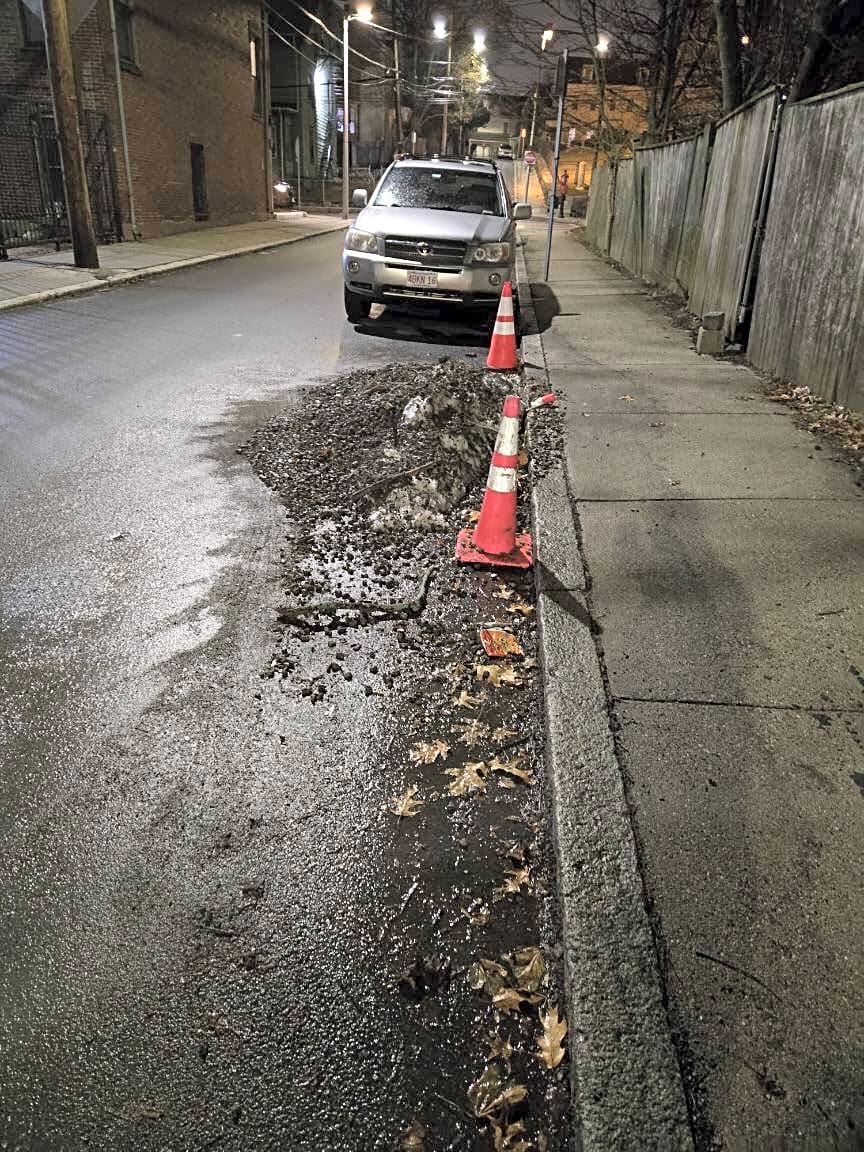 Image submitted with report