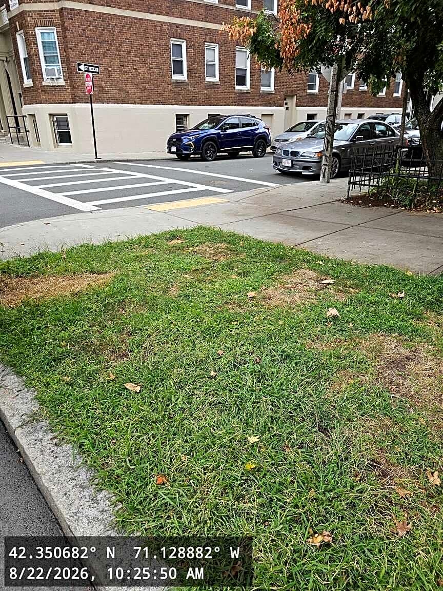 Image submitted with report