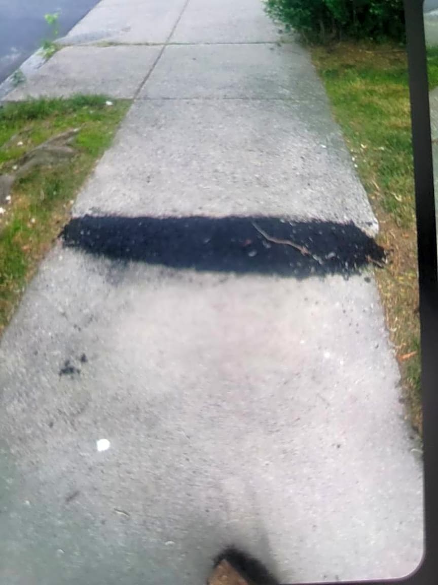 Image submitted with report