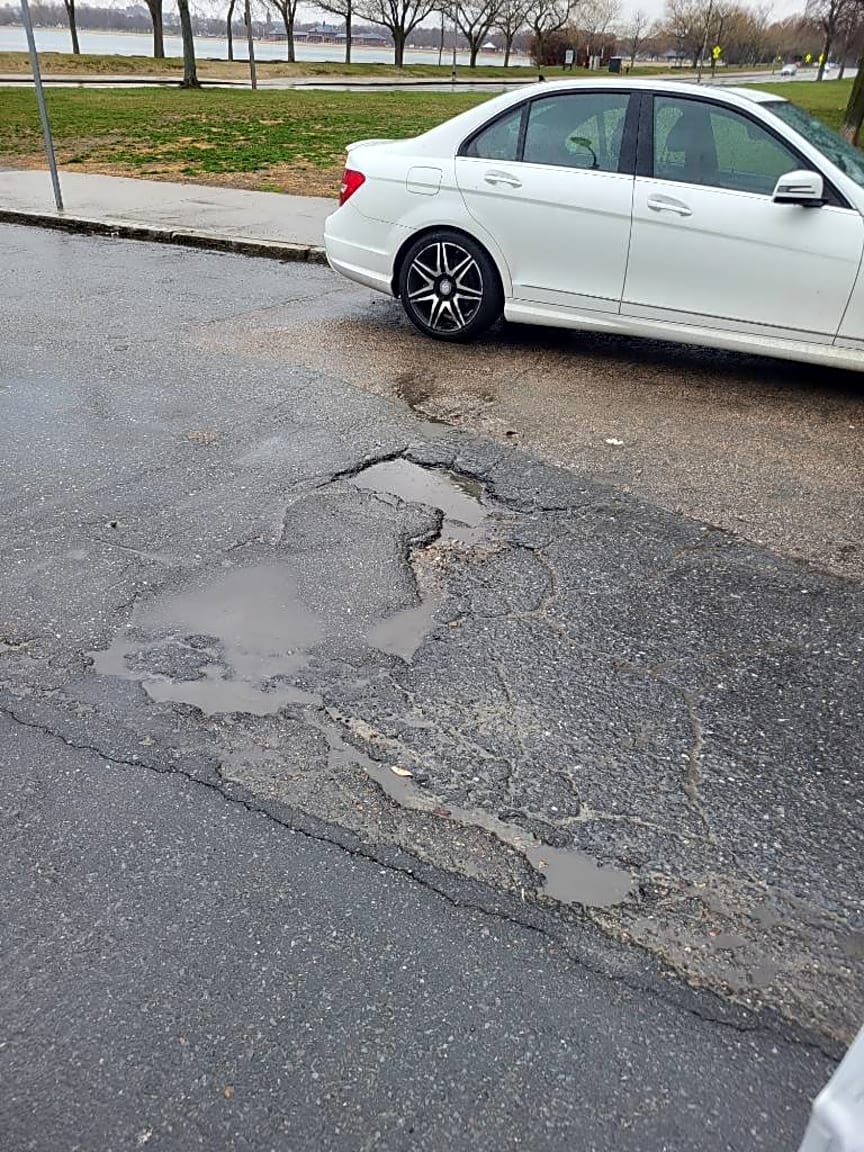 Image submitted with report