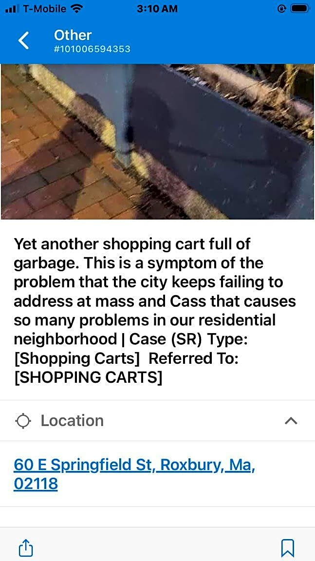 Image submitted with report