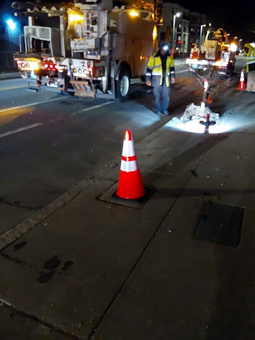 Image submitted with report