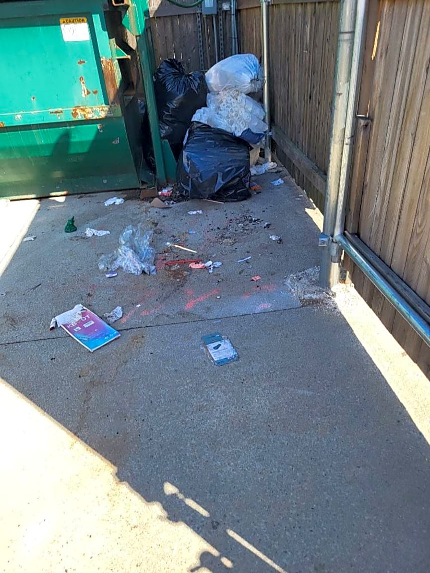 Image submitted with report