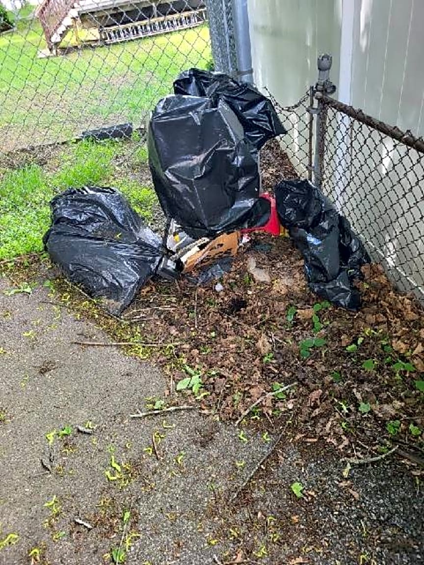 Image submitted with report