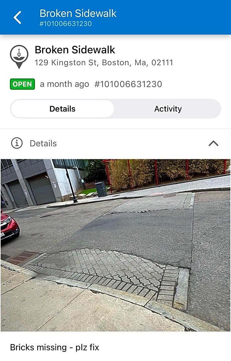 Image submitted with report