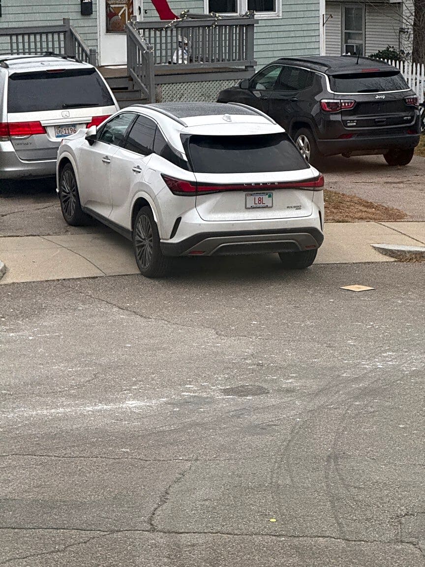 Image submitted with report