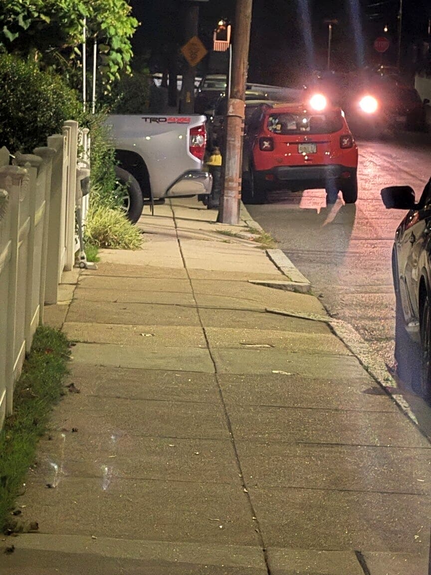 Image submitted with report