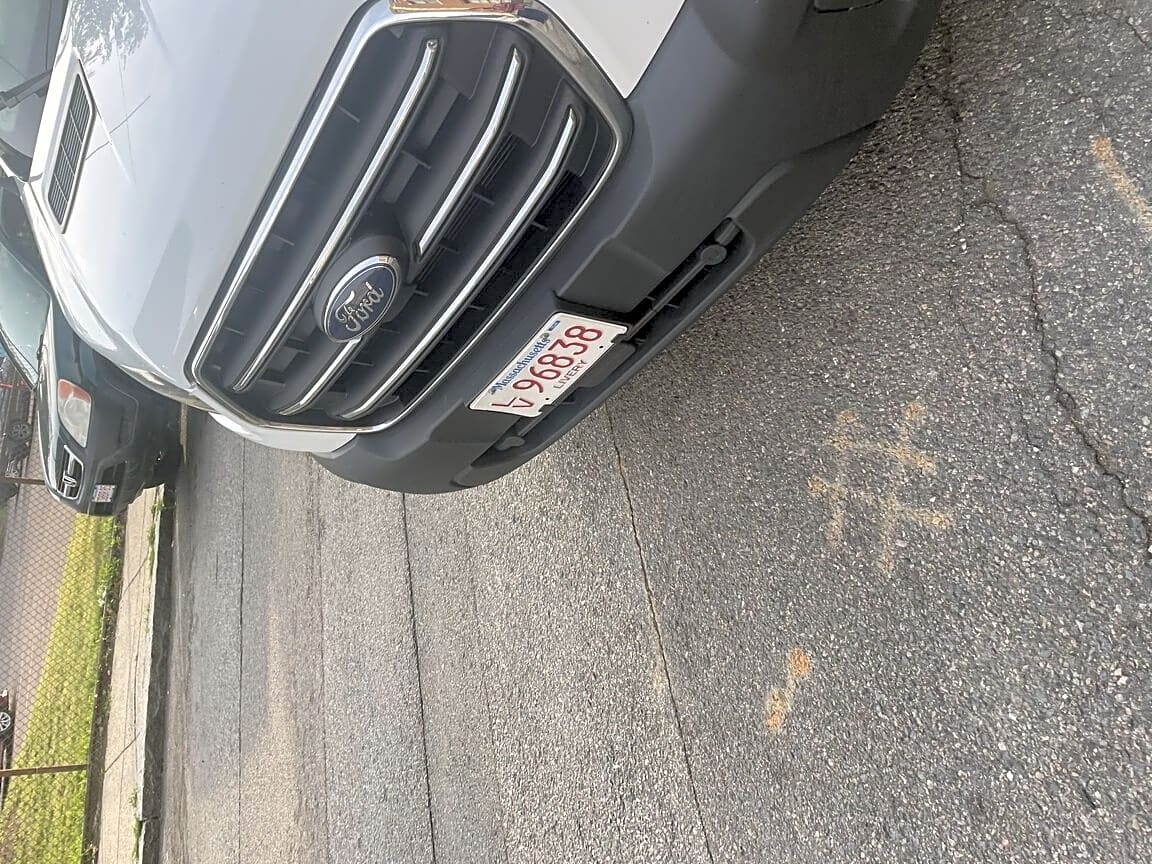 Image submitted with report