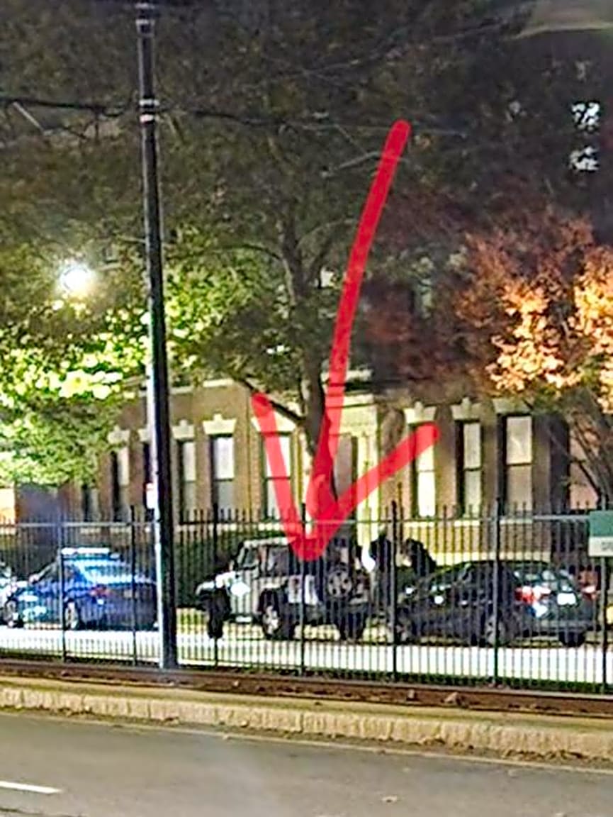 Image submitted with report