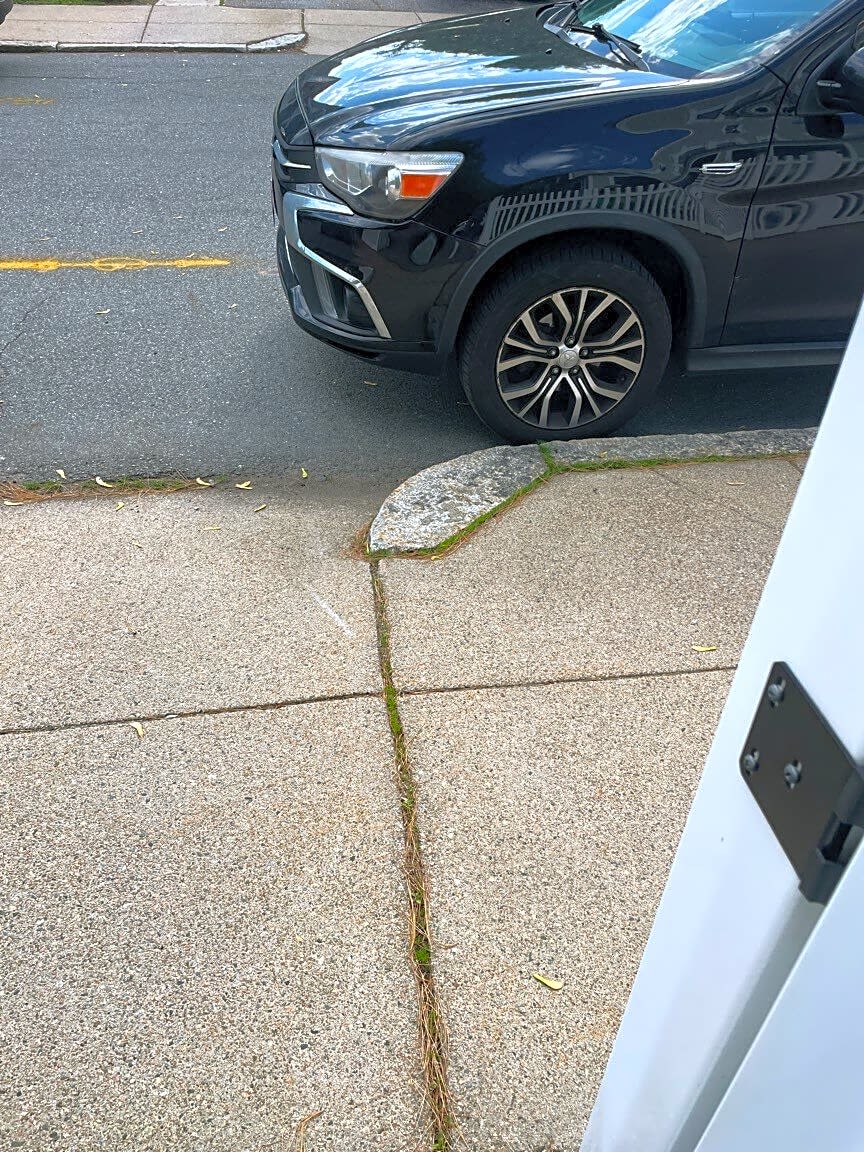 Image submitted with report