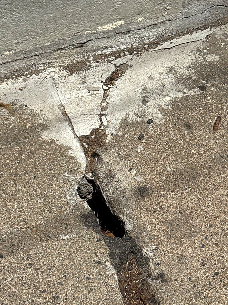Image submitted with report