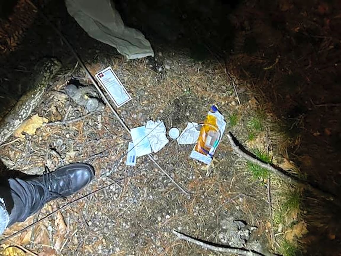 Image submitted with report