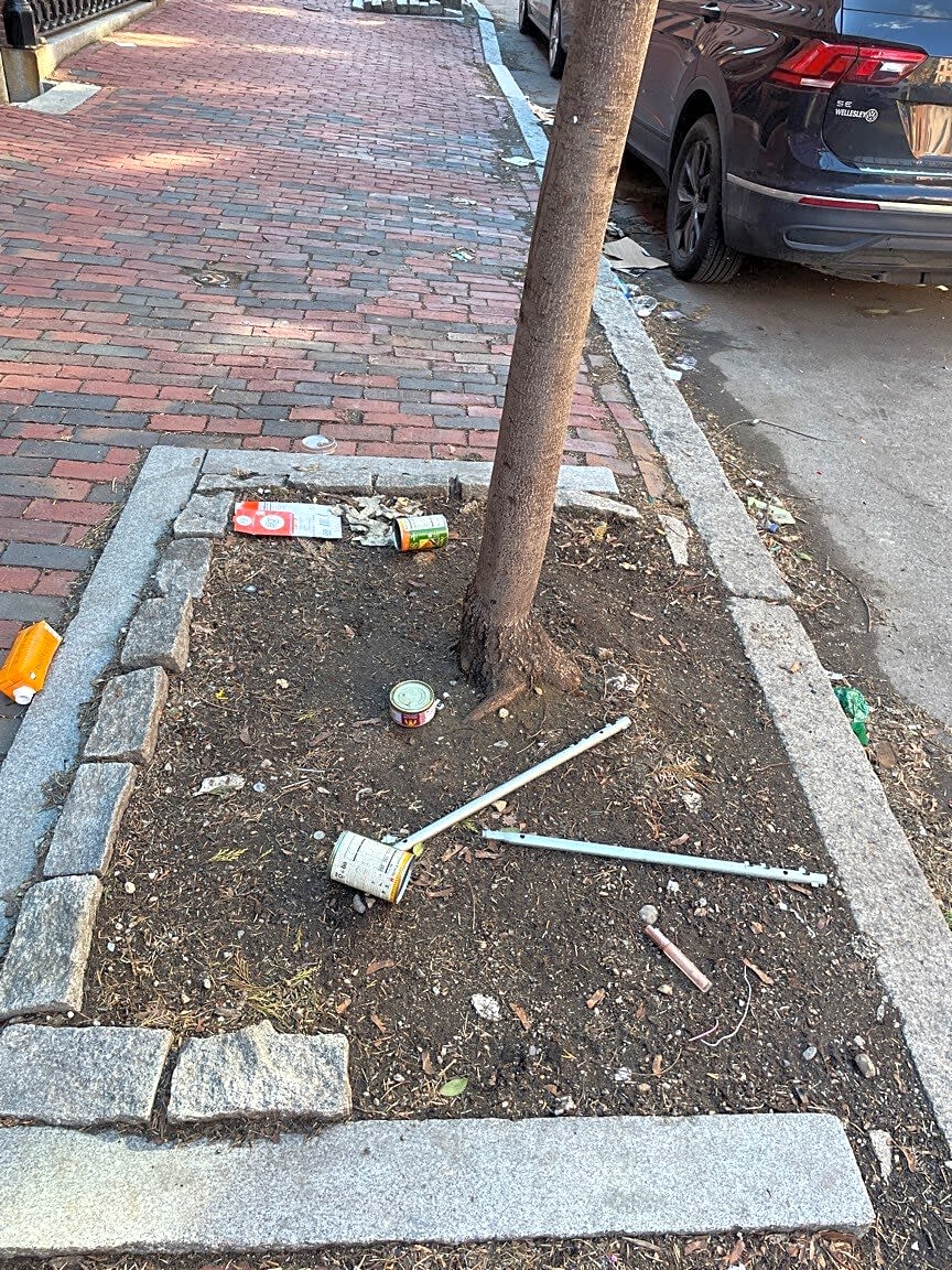 Image submitted with report