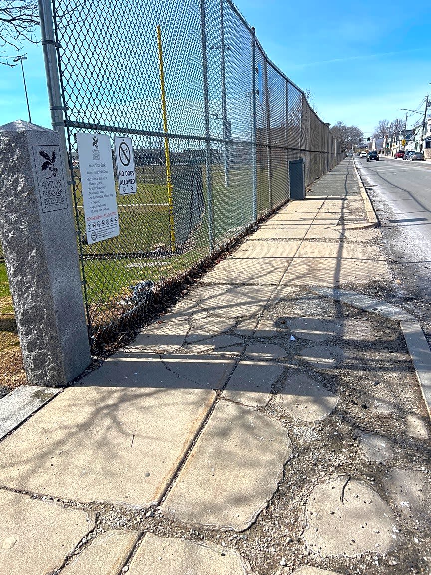 Image submitted with report